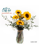 Hoa Thả Bình - belovedbeyond.com