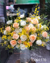 G001570 - belovedbeyond.com