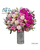 G001660 - belovedbeyond.com