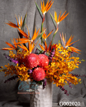 G002020 - belovedbeyond.com