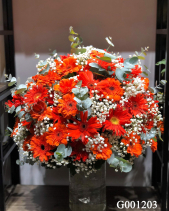 G001203 - belovedbeyond.com