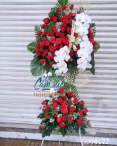 Hoa Chúc Mừng - belovedbeyond.com