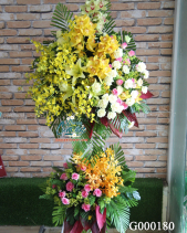 Hoa Chúc Mừng - belovedbeyond.com