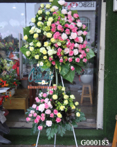 Hoa Chúc Mừng - belovedbeyond.com