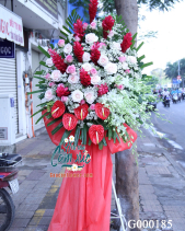 Hoa Chúc Mừng - belovedbeyond.com