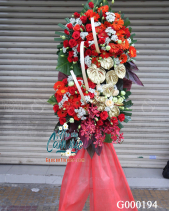 Hoa Chúc Mừng - belovedbeyond.com