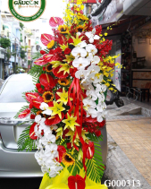 Hoa Chúc Mừng - belovedbeyond.com