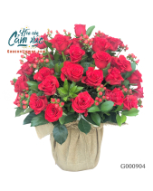 G000904 - belovedbeyond.com