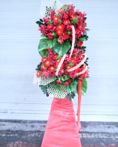 Kệ Hoa Chúc Mừng - belovedbeyond.com