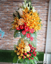 Hoa Chúc Mừng - belovedbeyond.com