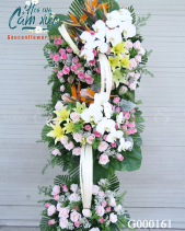 G000161 - belovedbeyond.com