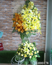 G000178 - belovedbeyond.com