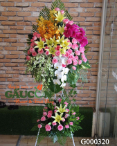 G000320 - belovedbeyond.com