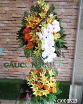 G000323 - belovedbeyond.com