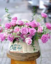 Hoa Chúc Mừng - belovedbeyond.com