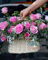 Hoa Chúc Mừng - belovedbeyond.com