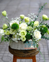 Hoa Chúc Mừng - belovedbeyond.com