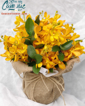 G000820 - belovedbeyond.com