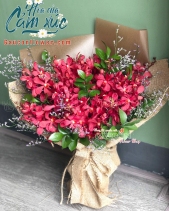 G000823 - belovedbeyond.com