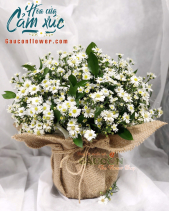 G000832 - belovedbeyond.com