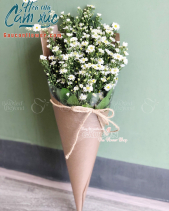 G000833 - belovedbeyond.com