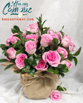 G000835 - belovedbeyond.com