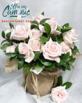 G000837 - belovedbeyond.com
