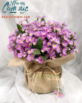 G000843 - belovedbeyond.com