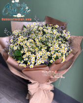 G000846 - belovedbeyond.com