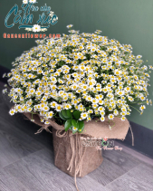 G000847 - belovedbeyond.com