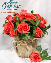Hoa Sinh Nhật - belovedbeyond.com