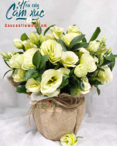 Hoa Sinh Nhật - belovedbeyond.com
