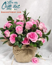 Hoa Sinh Nhật - belovedbeyond.com