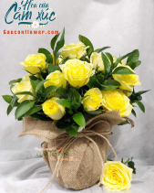 Hoa Sinh Nhật - belovedbeyond.com