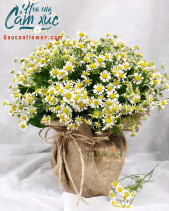 Hoa Sinh Nhật - belovedbeyond.com
