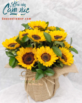 Hoa Sinh Nhật - belovedbeyond.com