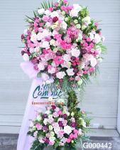 G000442 - belovedbeyond.com