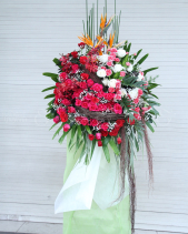 G000430 - belovedbeyond.com