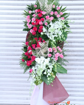 G000434 - belovedbeyond.com