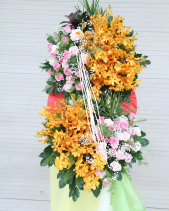 G000436 - belovedbeyond.com