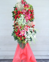 G000162 - belovedbeyond.com