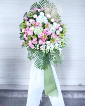 G000166 - belovedbeyond.com