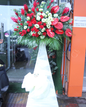 G000175 - belovedbeyond.com