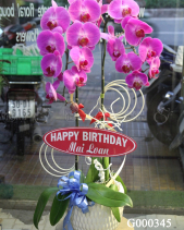 G000345 - belovedbeyond.com