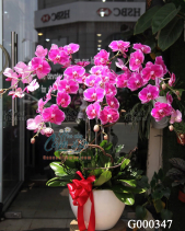 G000347 - belovedbeyond.com