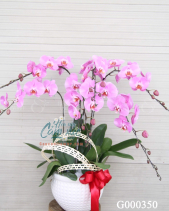 G000350 - belovedbeyond.com