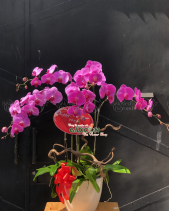 G000531 - belovedbeyond.com