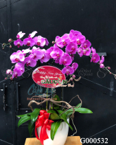 G000532 - belovedbeyond.com