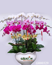 G000329 - belovedbeyond.com