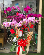 G000338 - belovedbeyond.com